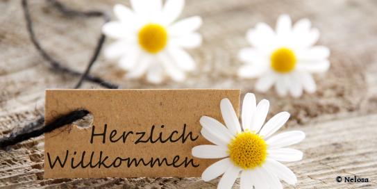 Pappschild "Herzlich Willkommen" mit Gänseblümchen